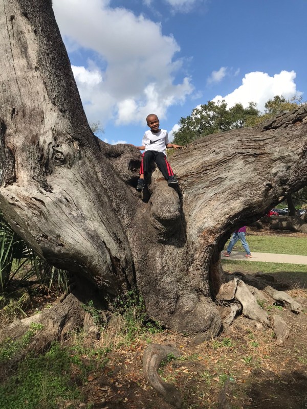 There is something about the SON - the power of Vitamin D.